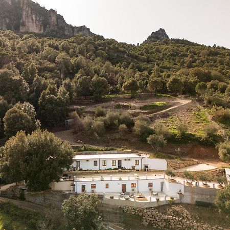 Casa Jerzu S'Essia De Su Santu Vila Exterior foto